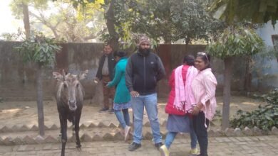 Photo of समाज सेविका विनीता अग्रवाल के प्रयास से बची बेजुबान की जान