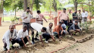 Photo of विश्व फोटोग्राफी दिवस पर कानपुर में हर्षोल्लास: फोटोग्राफर्स ने 70 पौधों के साथ रचा हरा-भरा इतिहास